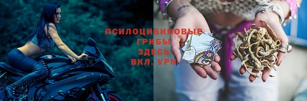 героин Алексин