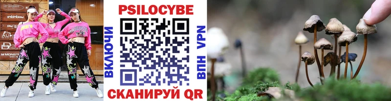 Галлюциногенные грибы ЛСД  OMG ONION  Сасово  где купить наркоту 